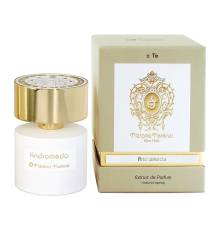 Оригинал Tiziana Terenzi Andromeda 100 ml extrait de parfum
