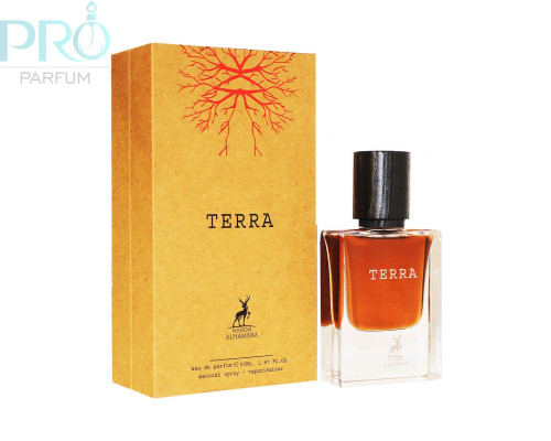 Оригинал Maison Alhambra Terra 50 ml edp