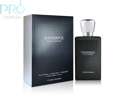Оригинал Chris Adams Powerful 100 ml edp