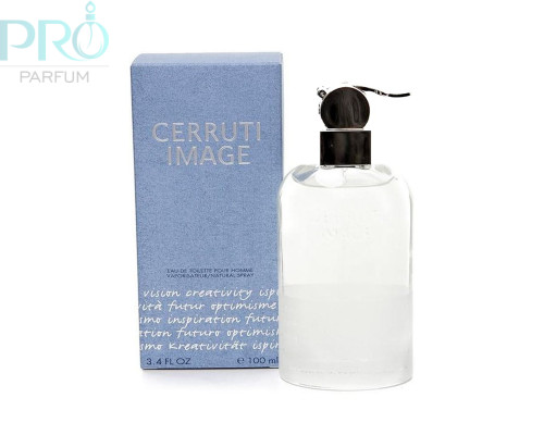 Оригинал Cerruti Image Pour Homme 100 ml edt TESTER