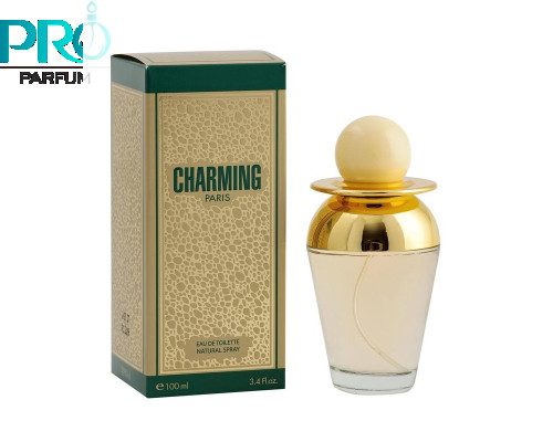 Оригинал Christine Darvin Charming 100 ml edt (Франция)