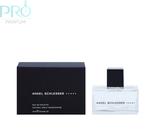 Оригинал Angel Schlesser Homme for Men 125 ml edt