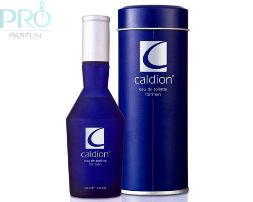 Оригинал Caldion men 100 ml edt