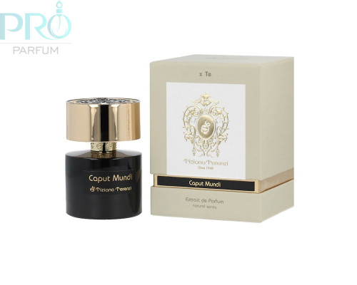 Оригинал Tiziana Terenzi Caput Mundi 100 ml extrait de parfum