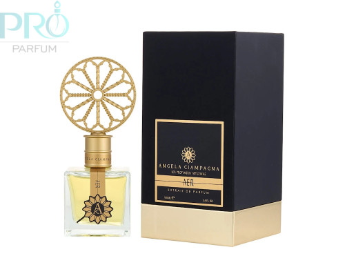 Оригинал Angela Ciampagna Aer 100 ml extrait de parfum