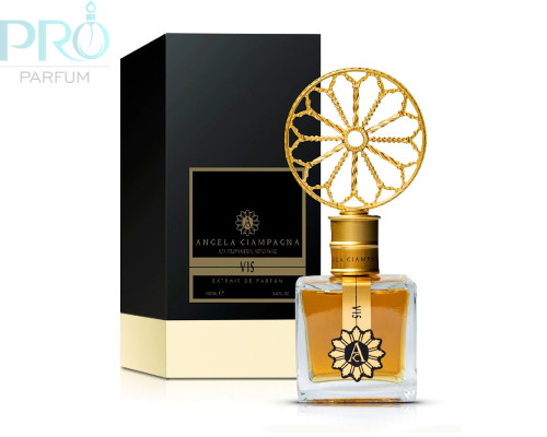Оригинал Angela Ciampagna Vis 100 ml extrait de parfum
