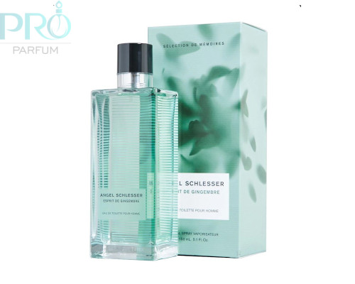 Оригинал Angel Schlesser Esprit De Gingembre Pour Homme 50 ml edt TESTER
