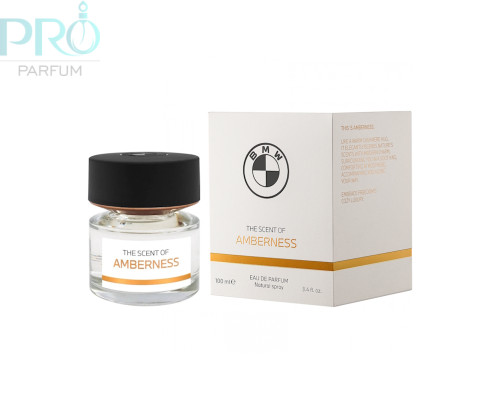 Оригинал BMW Amberness 100 ml edp
