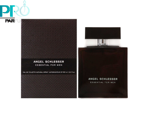 Оригинал Angel Schlesser Essential for Men 100 ml edt