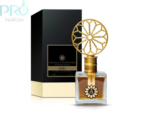 Оригинал Angela Ciampagna Ignes 100 ml extrait de parfum