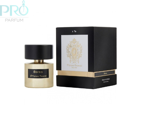 Оригинал Tiziana Terenzi Borea 100 ml extrait de parfum