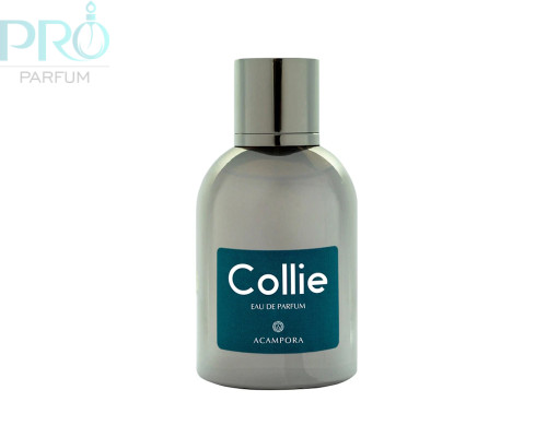 Оригинал Acampora Collie 100 ml edp