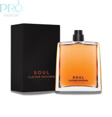 Оригинал Costume National Soul 100 ml Parfum