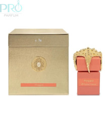 Оригинал Tiziana Terenzi Poggia 100 ml extrait de parfum